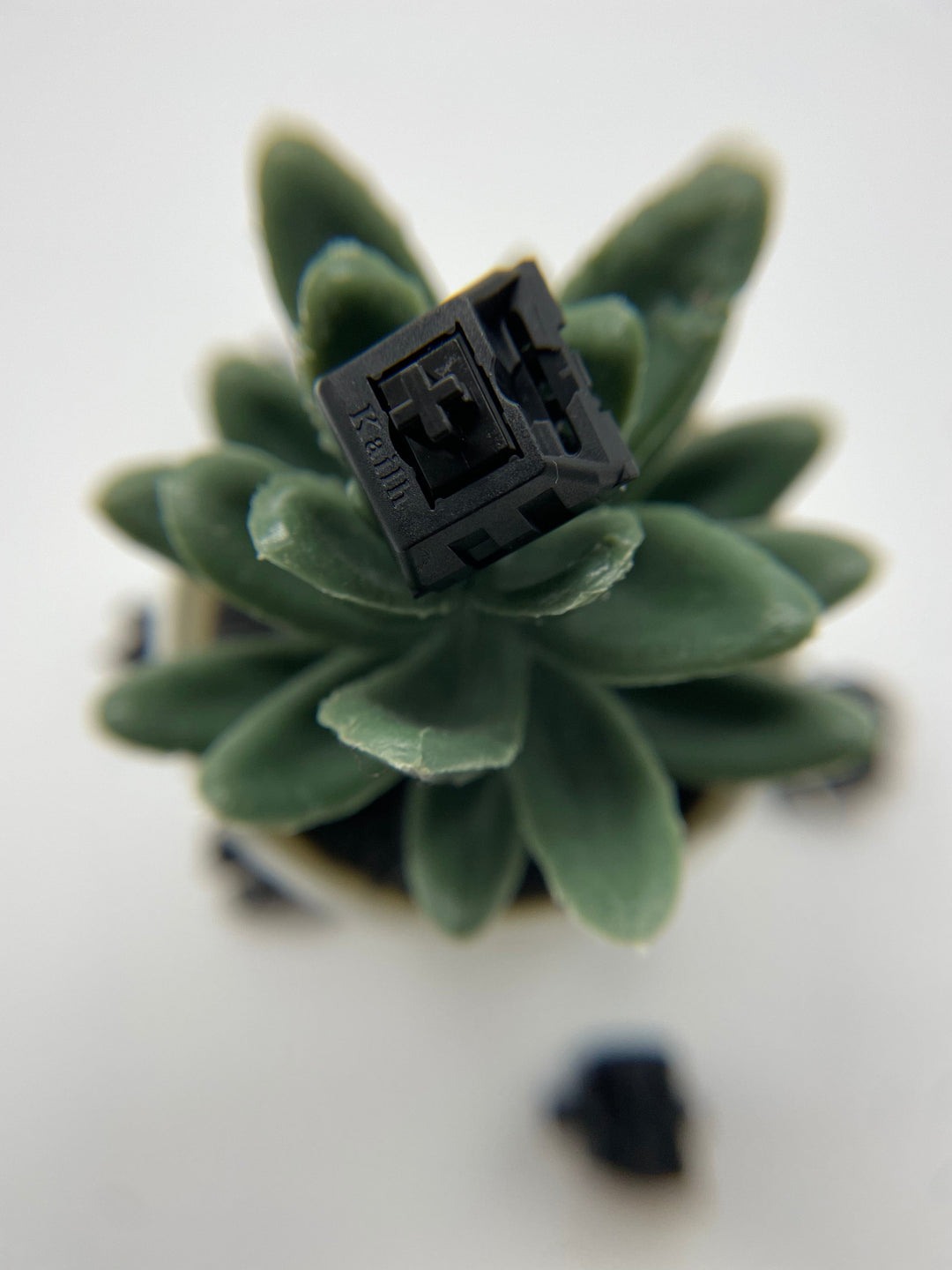 KNC Keys! Linear Switch Kailh Black Linear Switches